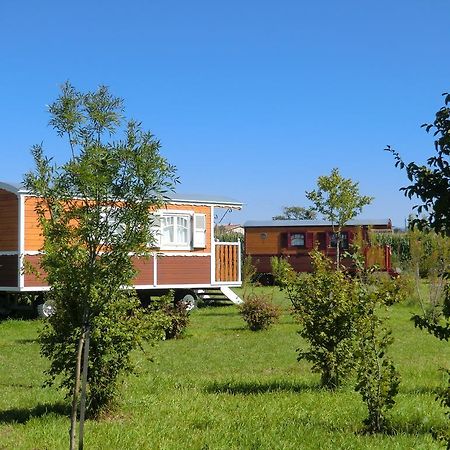Les Roulottes-Gites De La Ferme De L'Autruche Dromoise Livron-sur-Drôme Esterno foto
